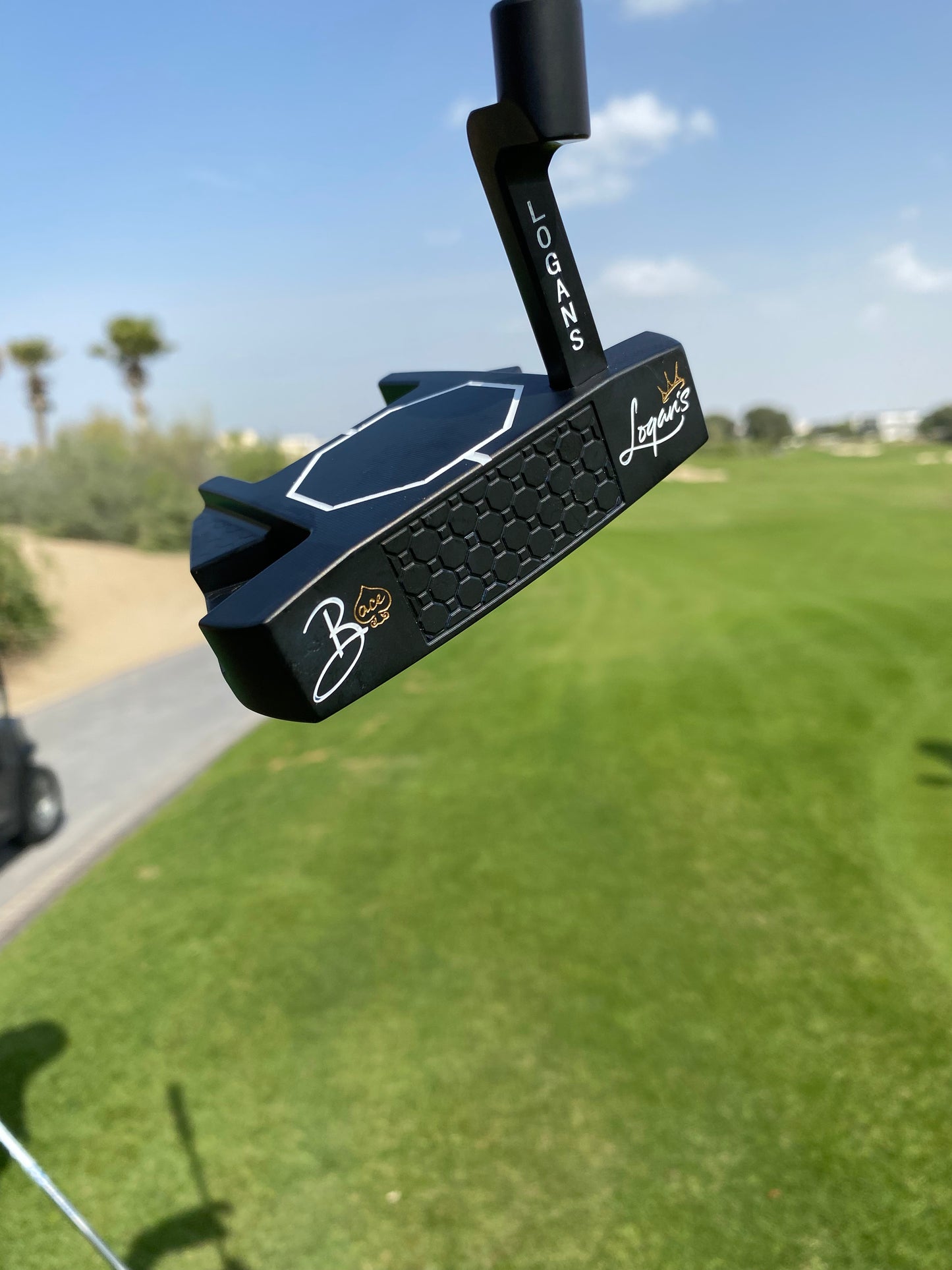 Logan’s Putter The Dalling
