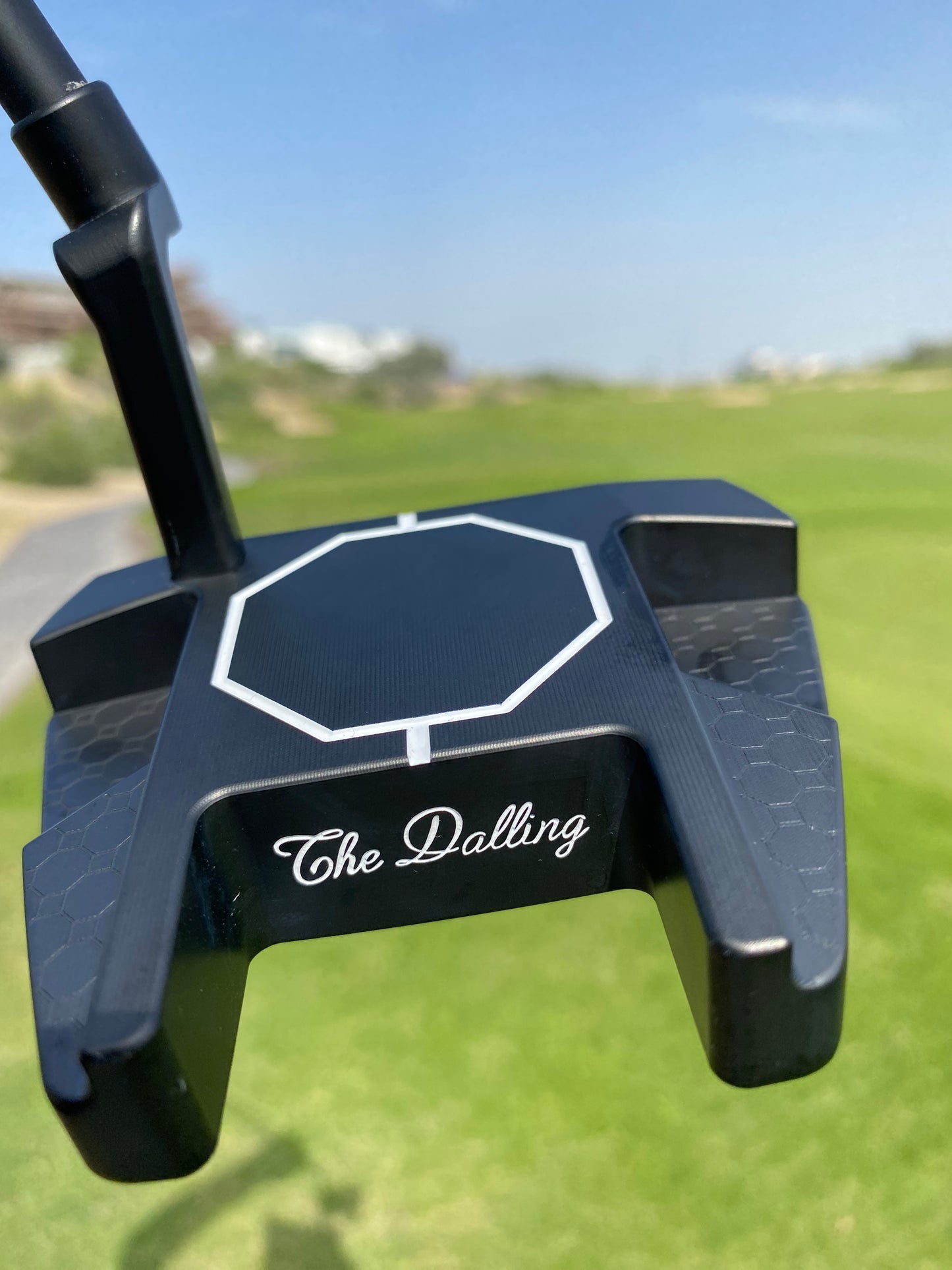 Logan’s Putter The Dalling