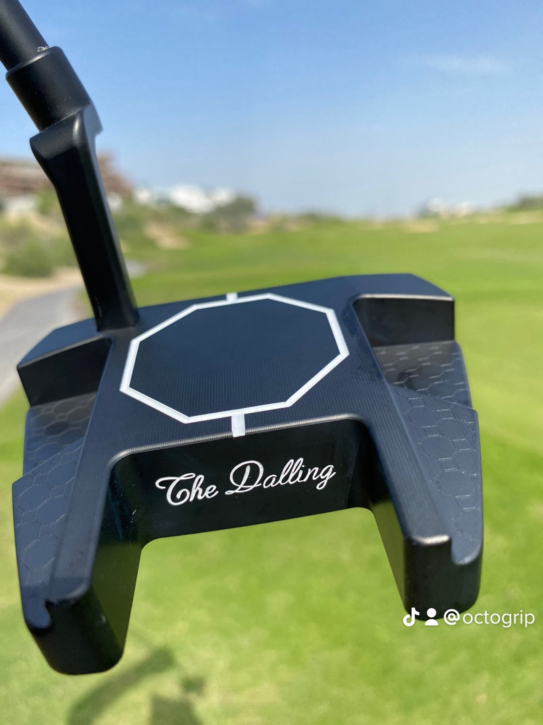 Logan’s Putter The Dalling
